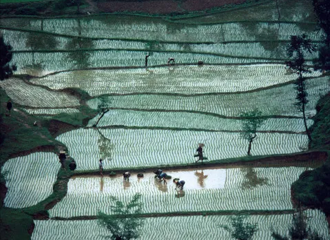 那些记忆里幸福的样子