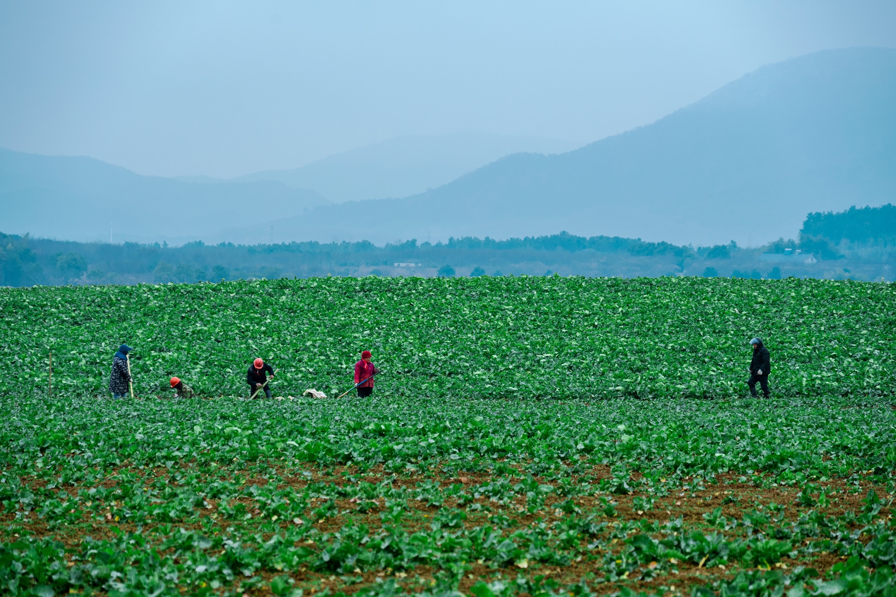 春种秋收的中国智慧