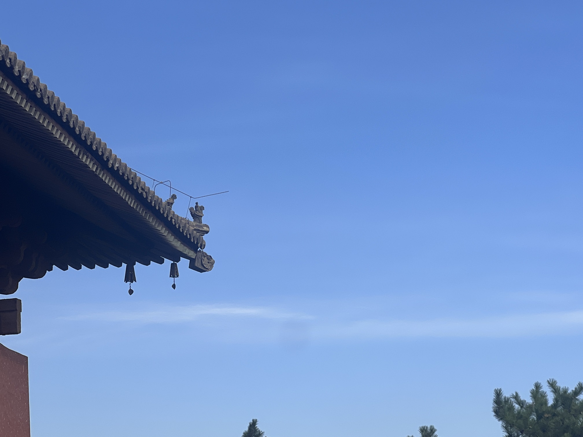 为什么要有仪式感