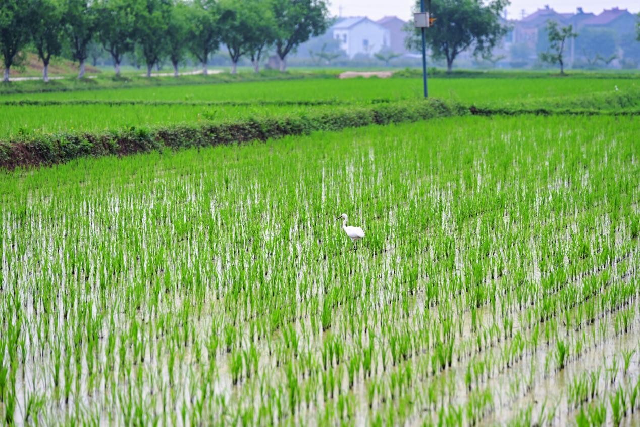 迷茫时代的哲思