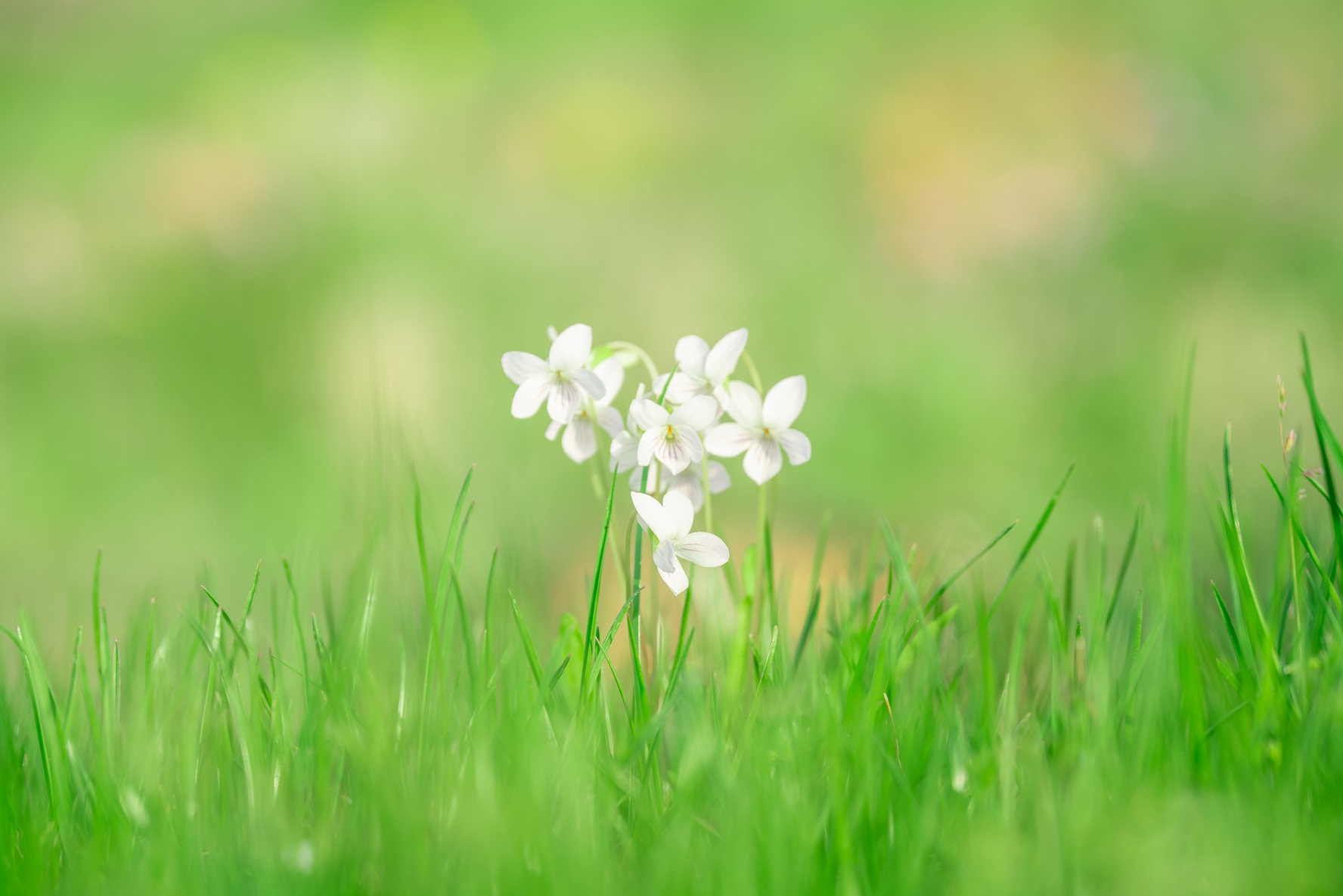 3421652923539287.jpg 3421652923539287.jpg