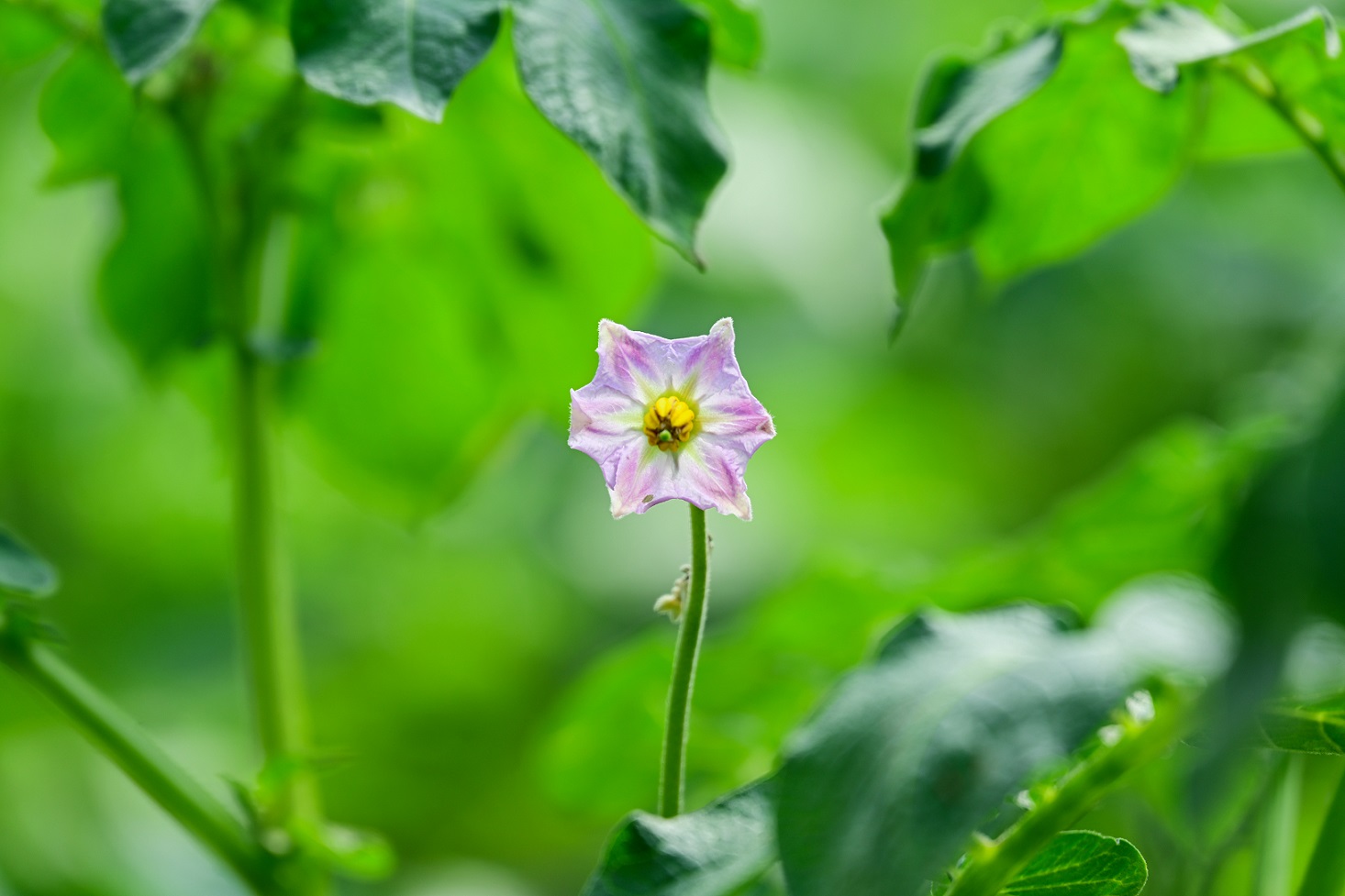 3951652923542856.jpg 3951652923542856.jpg