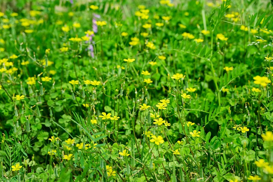 474165292354364.jpg 474165292354364.jpg