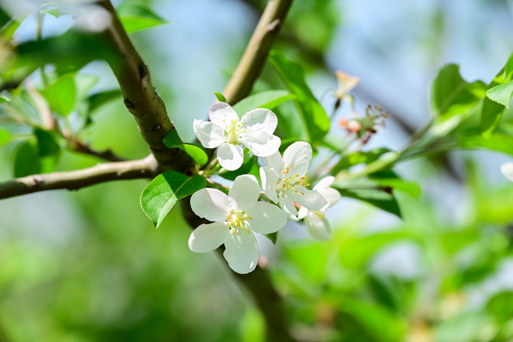 5641652923540568.jpg 5641652923540568.jpg