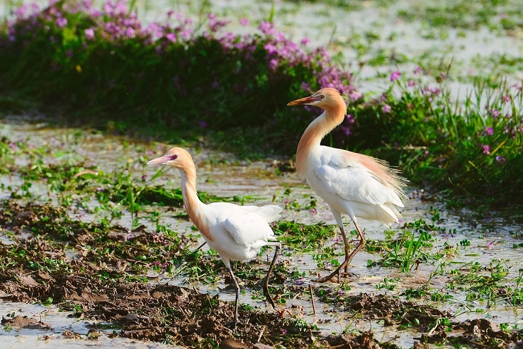 5921652923543994.jpg 5921652923543994.jpg