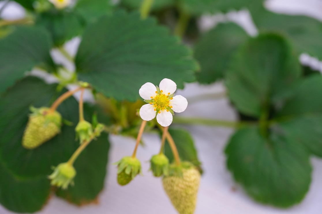 5951652923539150.jpg 5951652923539150.jpg