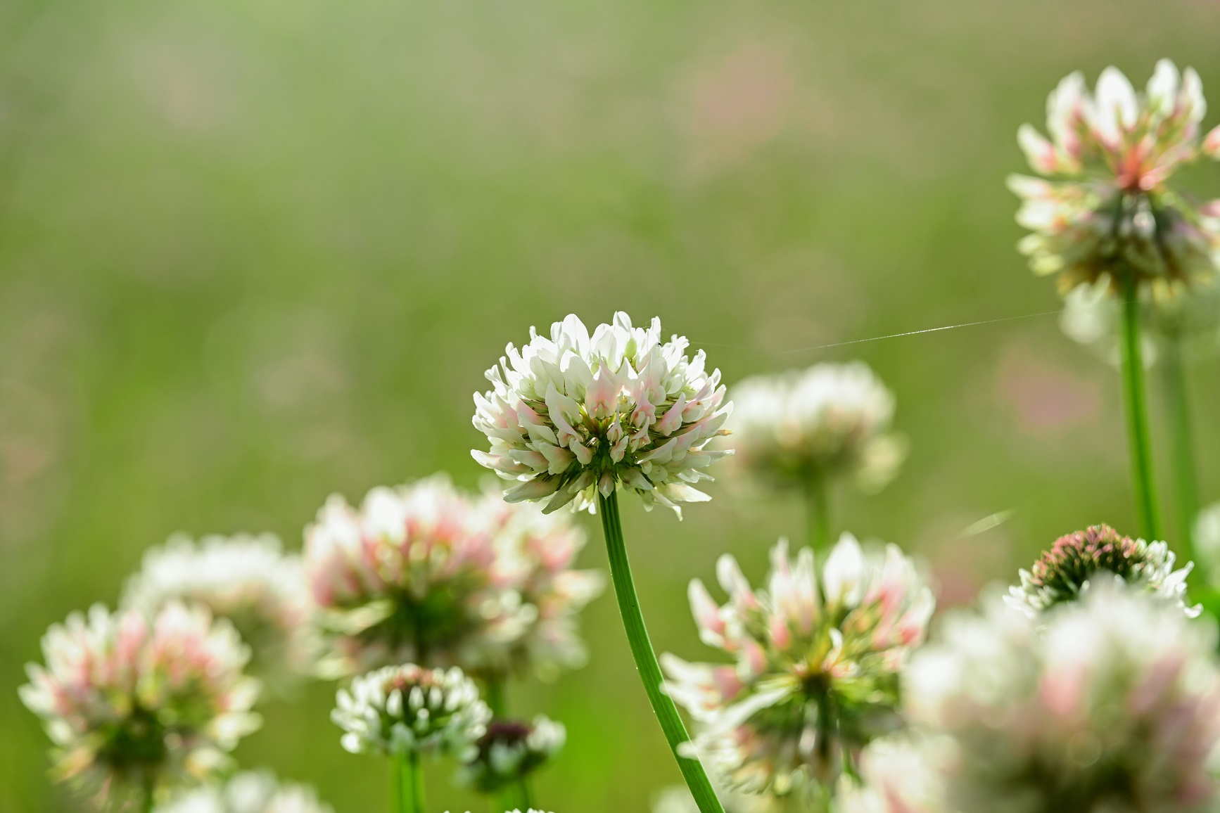 6531652923539869.jpg 6531652923539869.jpg