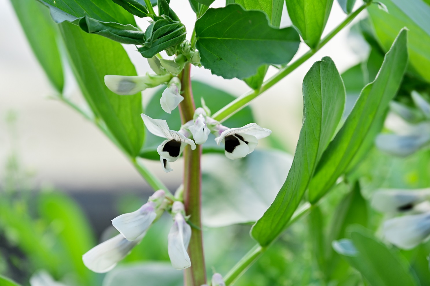 6811652925604808.jpg 6811652925604808.jpg