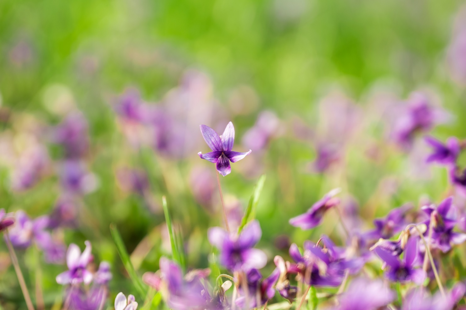 6861652923542320.jpg 6861652923542320.jpg