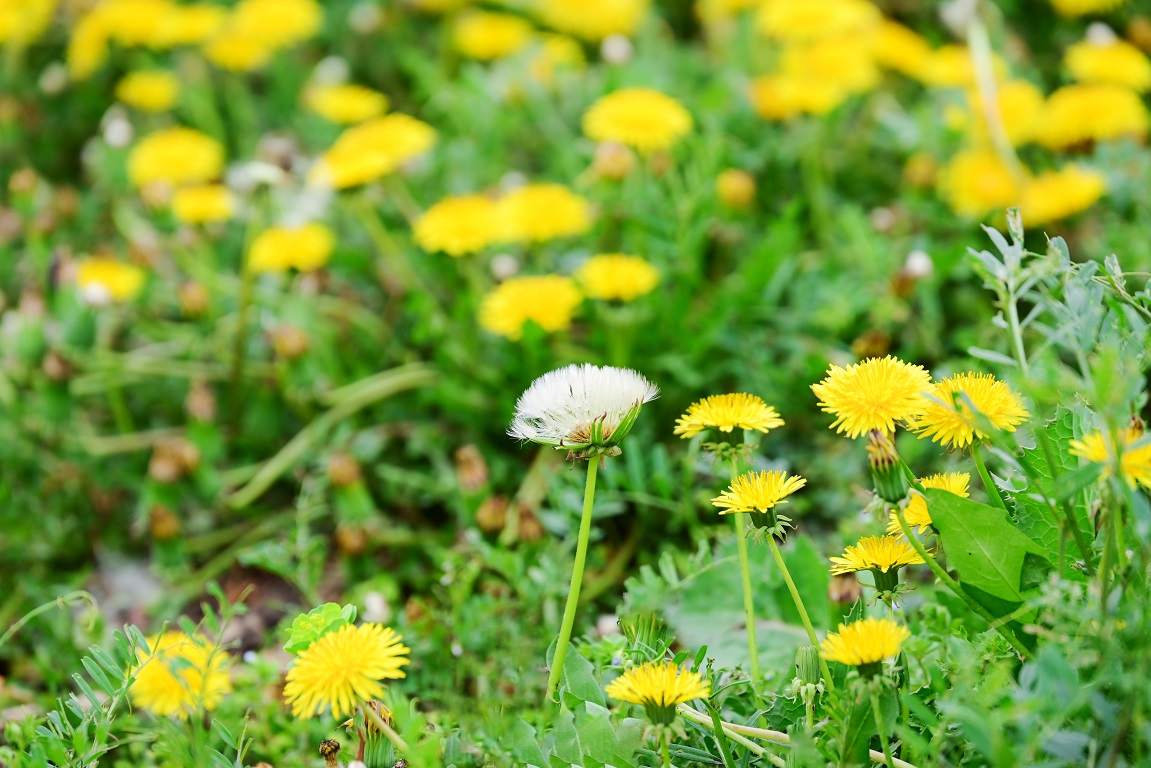 8821652923541799.jpg 8821652923541799.jpg