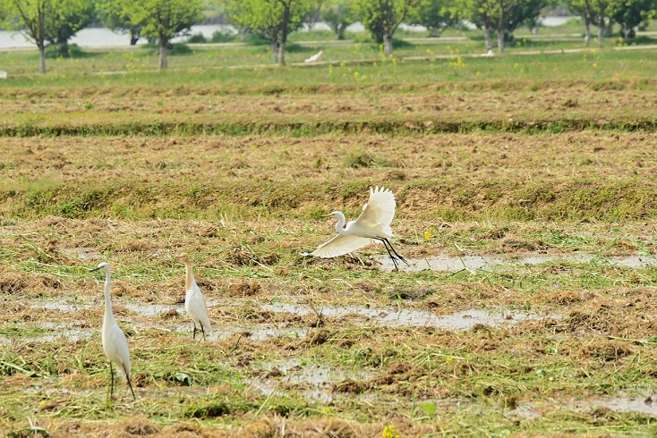 9321652923543747.jpg 9321652923543747.jpg