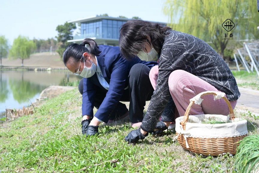 619171150366237.jpg 619171150366237.jpg