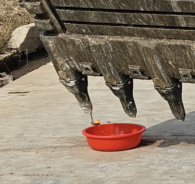 3561735540067347.jpg 3561735540067347.jpg