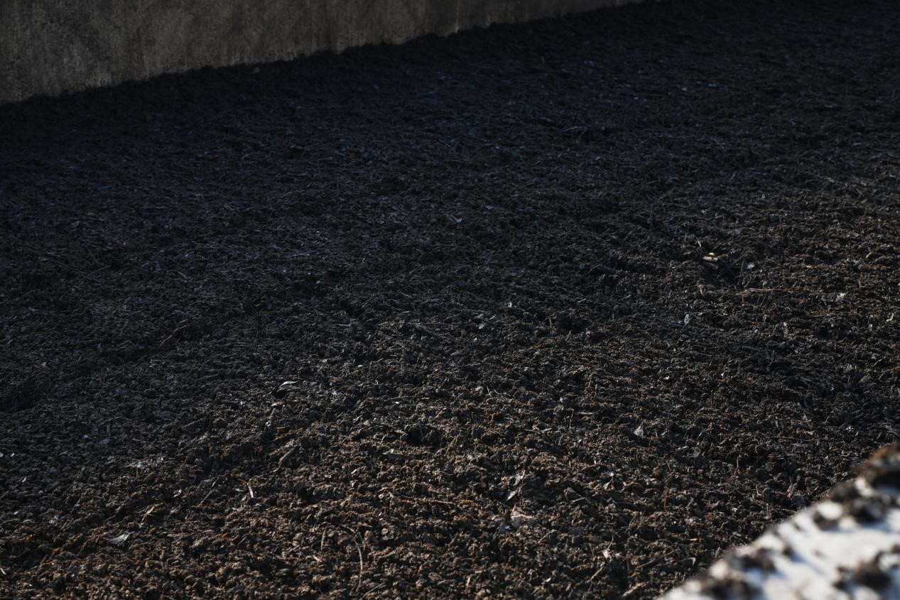 941754018639541.jpg 941754018639541.jpg